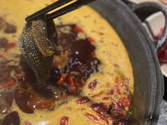 -大虎重庆老火锅(正弘城店)