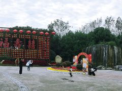 -合肥滨湖国家森林公园