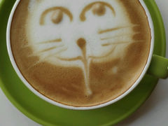 android_upload_pic-Anne猫窝咖啡屋