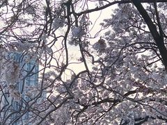 -红星桥(地铁站)