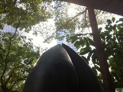 -深圳星河丽思卡尔顿酒店