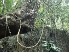 -七仙岭温泉国家森林公园