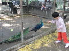 -意大利农场度假村