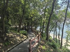 -铁山坪森林公园