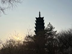 -上海方塔园