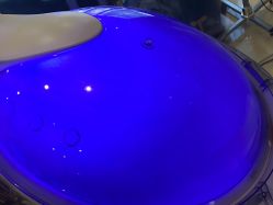 -碧莲盛·不剃发植发