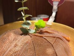 -巴奴毛肚火锅(邯郸美乐城店)