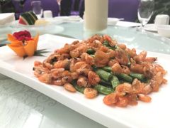 -九尊食上(生态园林酒店)