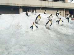 -沈阳奥体冰雪嘉年华