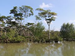 -东寨港红树林旅游区