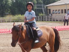 -北京群众马术培训基地