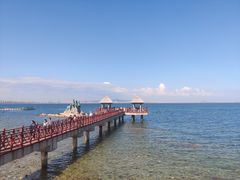 -养马岛旅游度假区