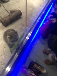 -未来动物城动物主题公园(大悦城店)