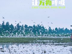 -温州龙湾国际机场
