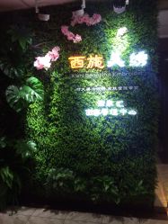 点击看大图 -西施无菌半永久纹绣眉眼影唇轻增发纹发际线