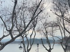 -青竺·青竹茶舍(断桥店)