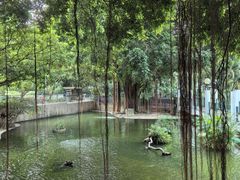 -九龙公园