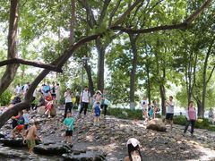 -成都市活水公园