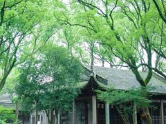 -天一阁博物院
