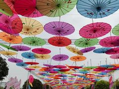 -都江堰玫瑰花溪谷