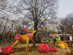 -洛阳市隋唐城遗址植物园