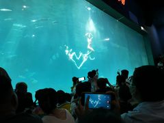 -福州罗源湾海洋世界旅游区