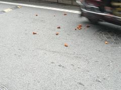 -阿捡忭京炸鸡(韭菜园总店)