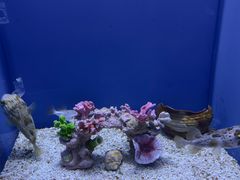 -石家庄极地海洋世界