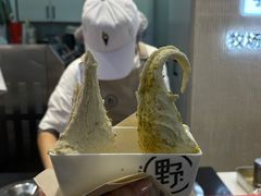 -野人先生现做冰淇淋(西安赛格店)