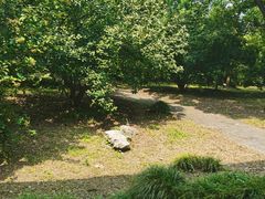 -东园小馆·早茶·淮扬小炒(宋夹城店)