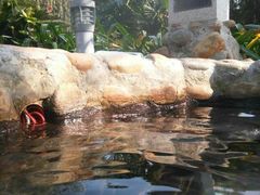 -江门古兜温泉小镇
