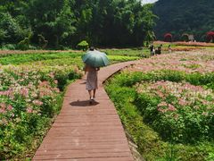 -广州市石门国家森林公园
