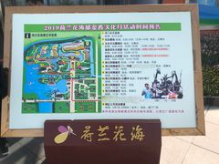 -荷兰花海