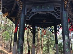 -四明山国家森林公园