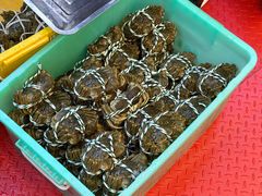 -蟹天蟹地农家菜·阳澄湖大闸蟹(浅水湾店)