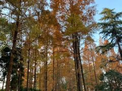 -苏州河梦清园环保主题公园