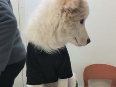 -美联众合24小时·皮肤科·外科·全科诊疗中心(华苑分院)