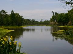 -桤木河湿地公园