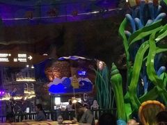 -青岛嘉年华主题乐园