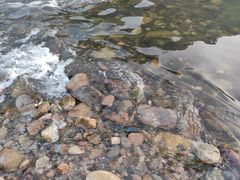 -白河湾生态旅游一条川