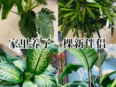 -木子塘汗蒸生活馆(财富港店)