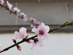 -东台西溪天仙缘景区