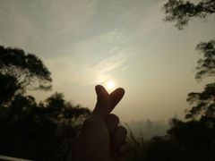 -金鸡山公园