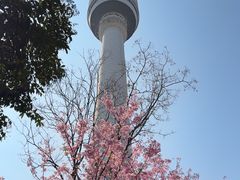 -龟山风景区-龟山电视塔