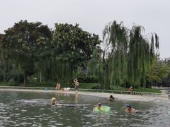 -柳浪游泳场