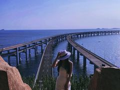 -星海湾跨海大桥