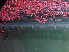 -望江楼公园