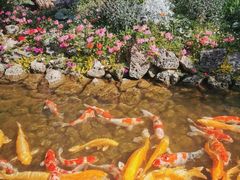 -罗红摄影艺术馆