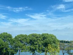 -蟹天蟹地农家菜·阳澄湖大闸蟹(浅水湾店)