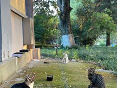 -T80科技文化国际社区-停车场